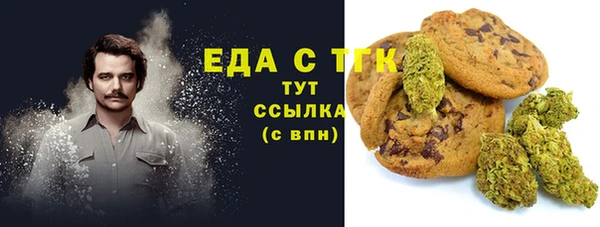 индика Абаза