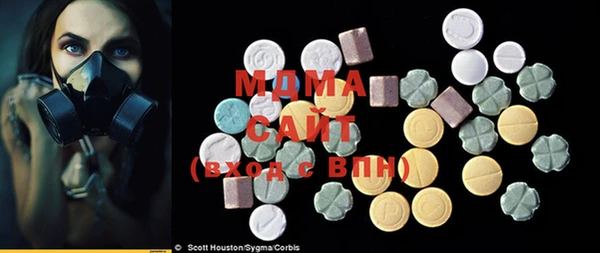 индика Абаза