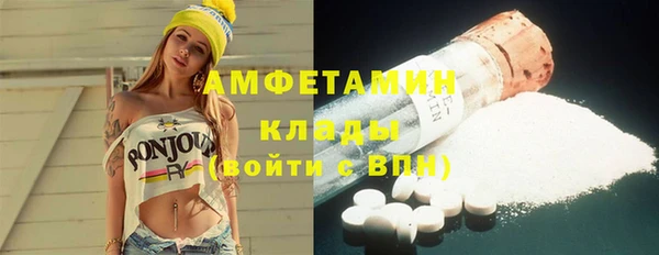 стаф Аркадак