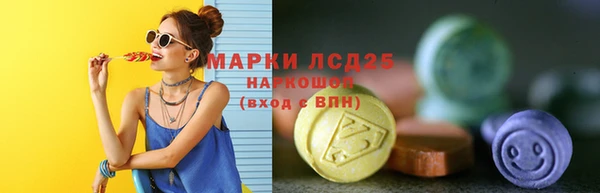 индика Абаза