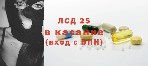 индика Абаза