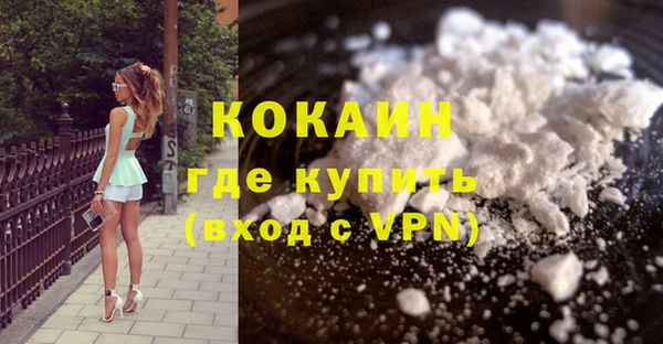 стаф Аркадак