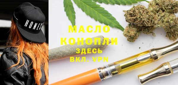 стаф Аркадак