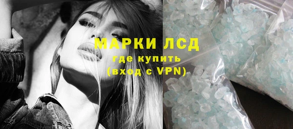 индика Абаза