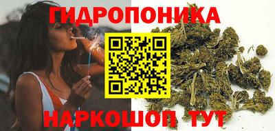 PSILOCYBIN Обнинск