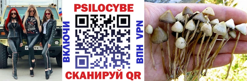 Галлюциногенные грибы Magic Shrooms  МЕГА сайт  Черкесск 